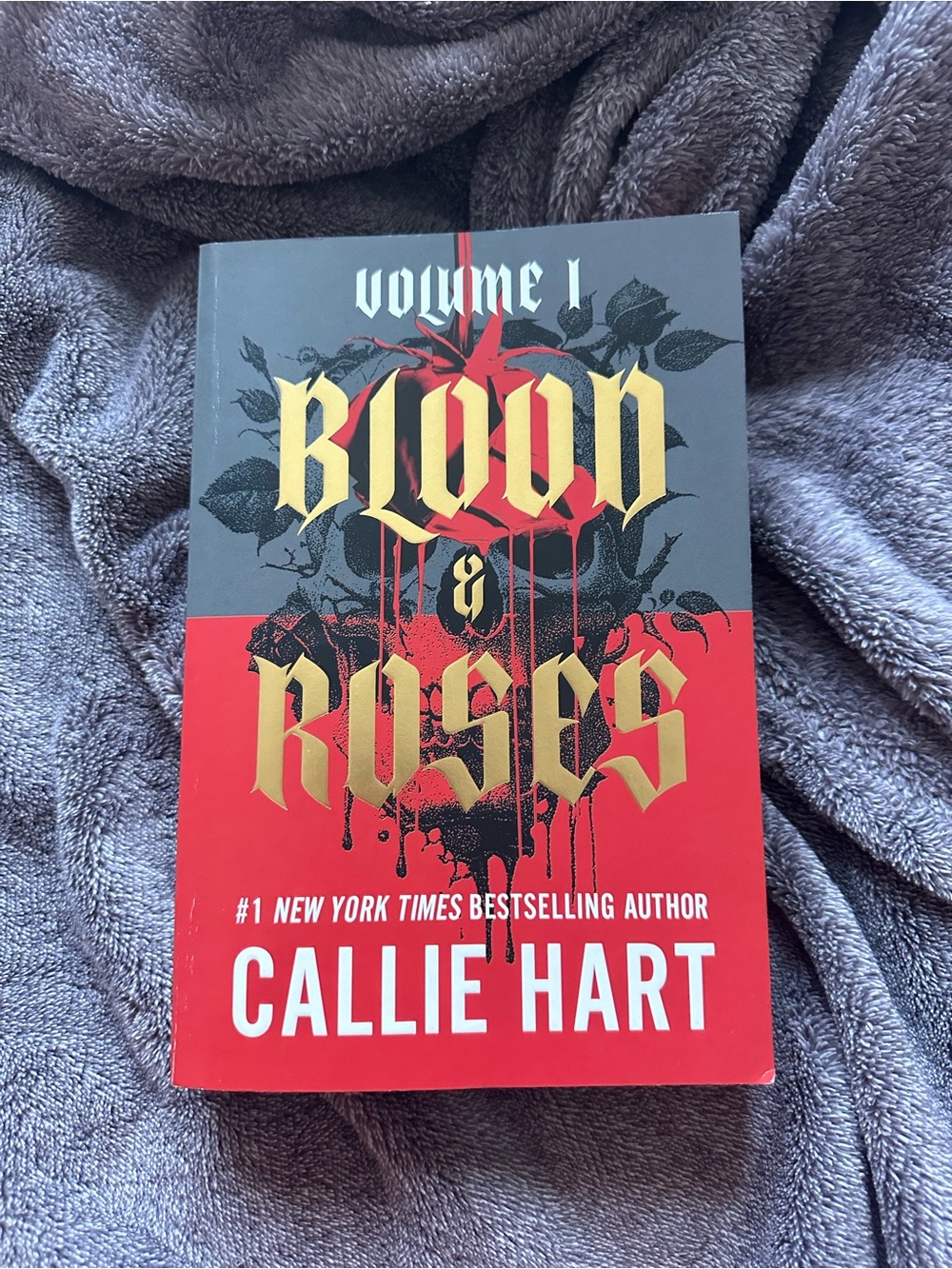 Blood & Roses Volume 1 Paperback Book - Red & Black Painted Cover